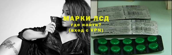 прущие грибы Арсеньев