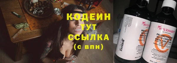 прущие грибы Арсеньев
