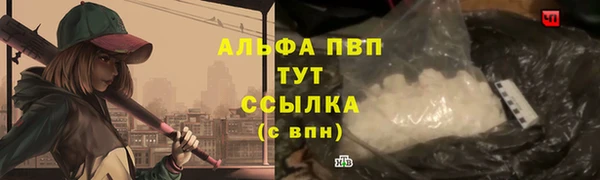 прущие грибы Арсеньев