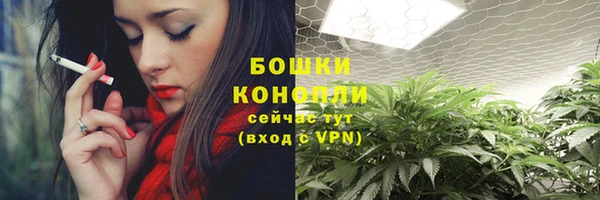 прущие грибы Арсеньев