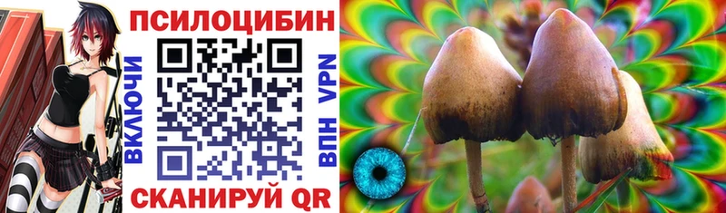 Галлюциногенные грибы MAGIC MUSHROOMS Билибино